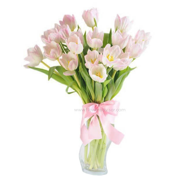 20 Pink Tulips in A Vase Arrangement - White Diamond - Anniversary