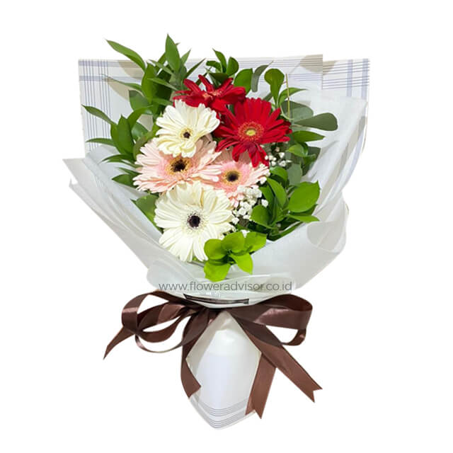 Mixed Gerbera Bouquet - Gerbera Sisters - Graduation