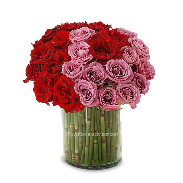 Red and Pink Roses in a Vase - Palette - Wedding