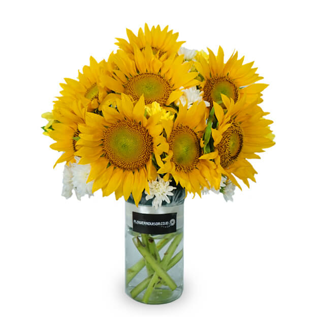 Ray of Sun - Sunflower Vase Arrangement - Get Well Soon