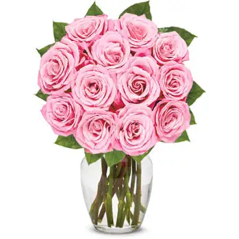 One Dozen Pink Roses